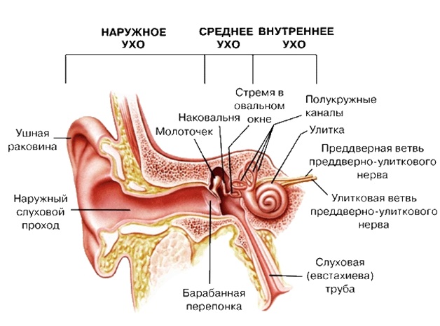 voda.jpg voda.jpg